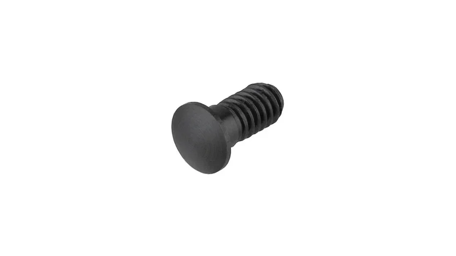 Campagnolo Nippelinnsats Magnet For Zonda v:9168882 Campagnolo Nippelinnsats Magnet For Zonda v:9168882