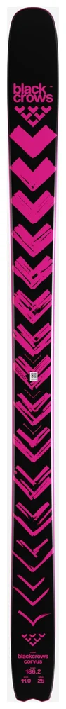 Corvus v:2720933
