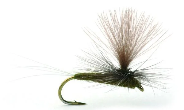 Umpqua Flies Baetis Dark Olive v:4473722 Umpqua Flies Baetis Dark Olive v:4473722