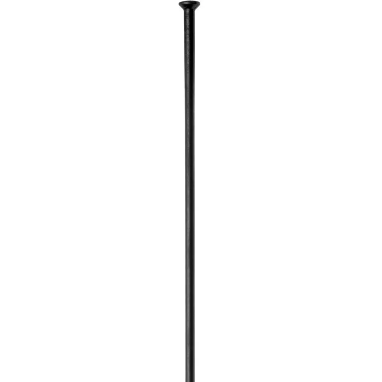 DT Swiss Champion 2,0mm Straight Pull Eiker v:5476258