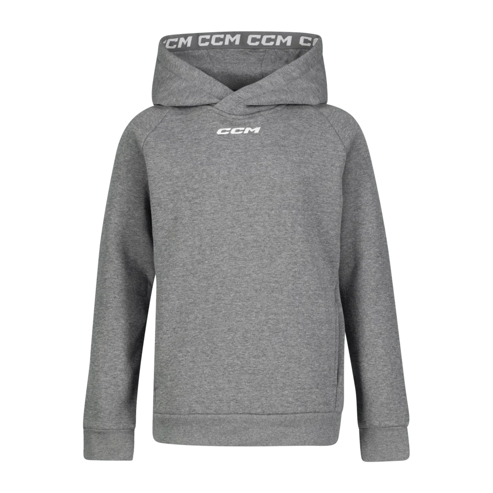 Team Fleece Pullover Hoodie hettegenser 25/26 – Grå v:5677354